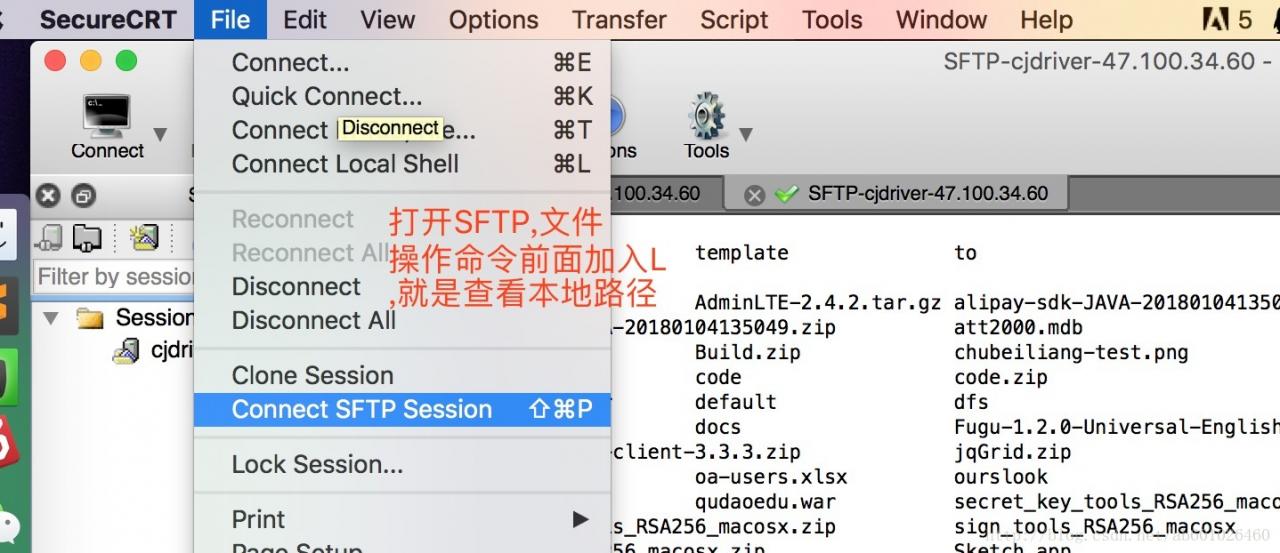 secureCRT使用sftp命令