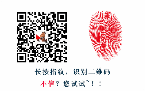 b0ee79d3fa081cbf424f495677c463a9.gif