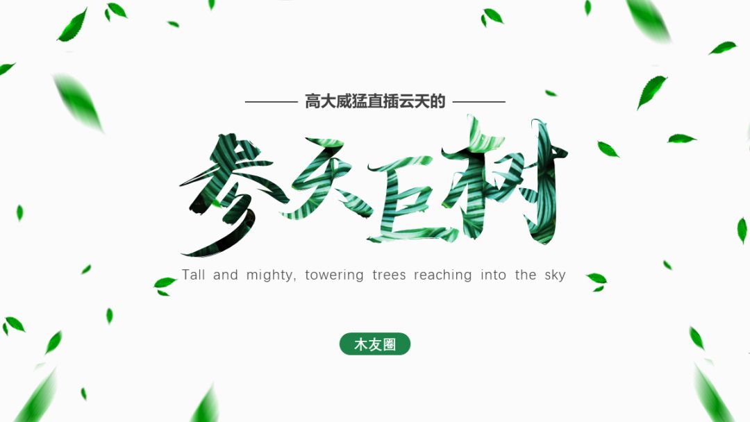 b90428050748d7c5a9df2ce2ccbcfca7.png