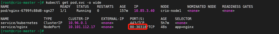 image-20210903142303867