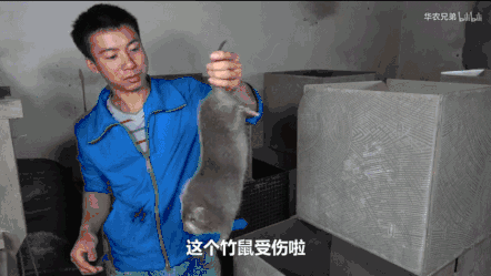 bf176a13ceb2be4308417cc517c6530c.gif