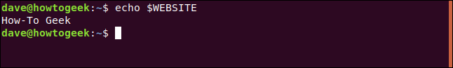 echo $WEBSITE in a terminal window.