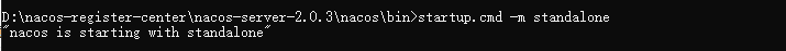 以单机模式运行nacos