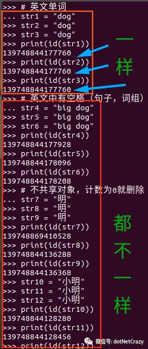 python转换成c语言_把python转成c – 源码巴士