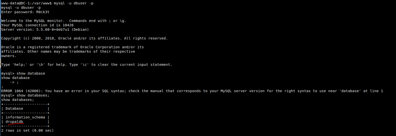 image-20210124095316532