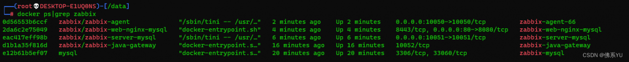 docker运行容器列表