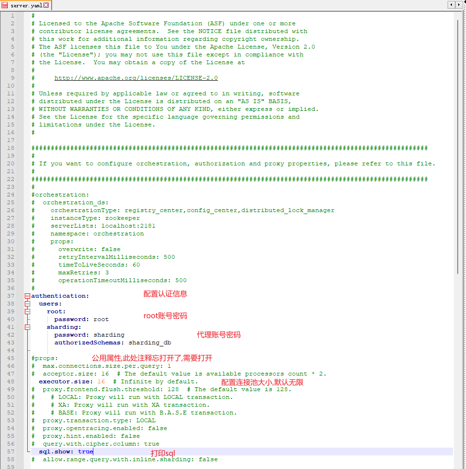 image-20220207155520956