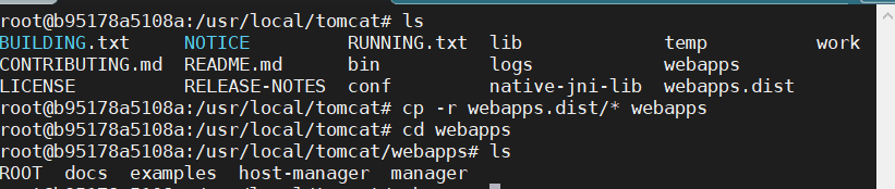 image-20210421112258884
