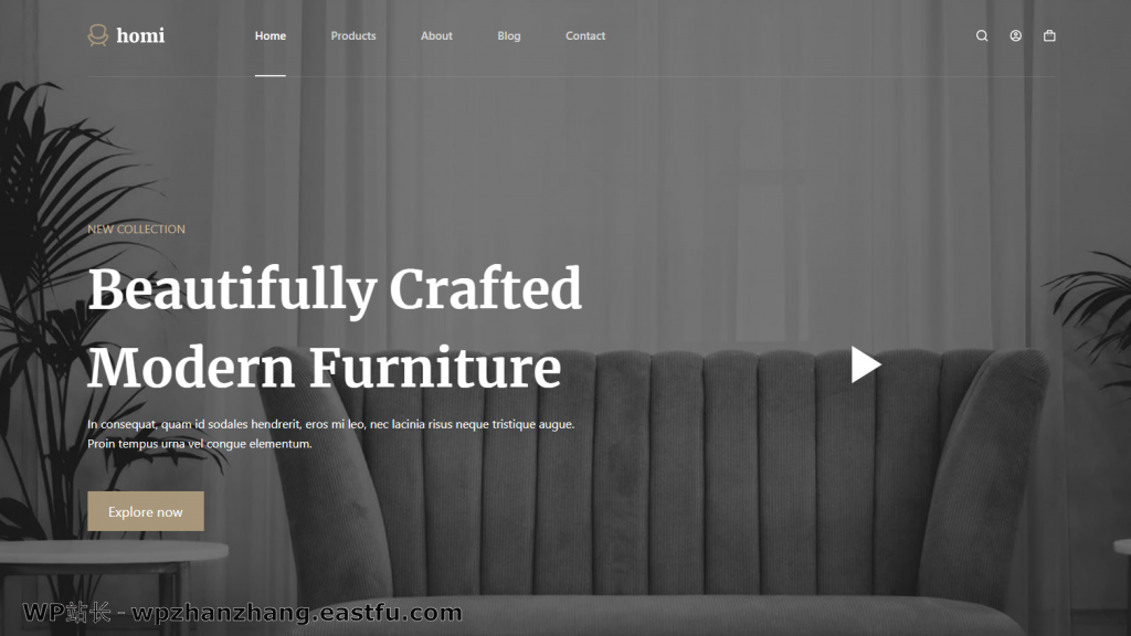 Blocksy 演示站点