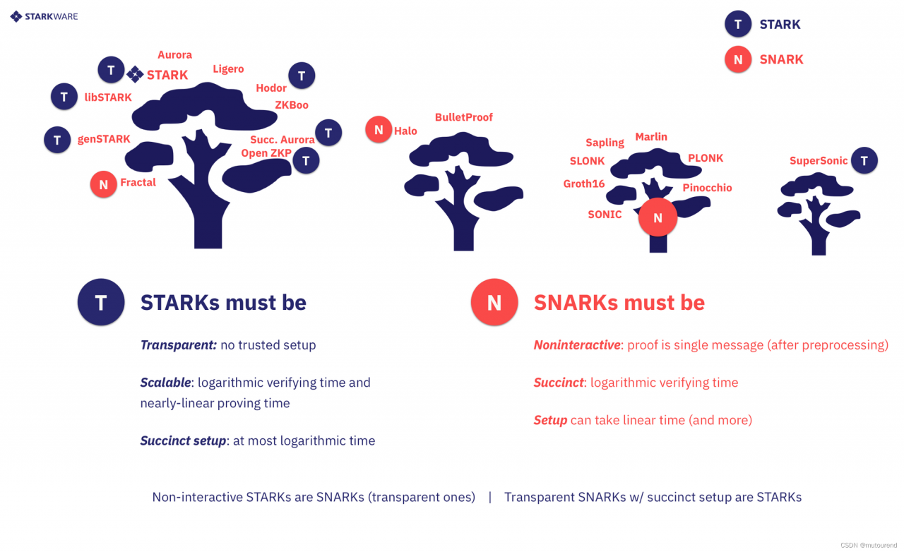 图5 STARK vs. SNARK